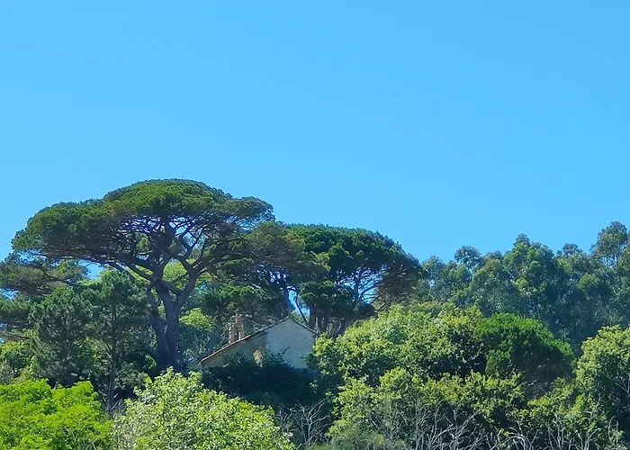 Piso Piedra Alta Daire